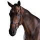 image 1 of Collegiate Comfitec Crystal Leather Bridle - Black - Full