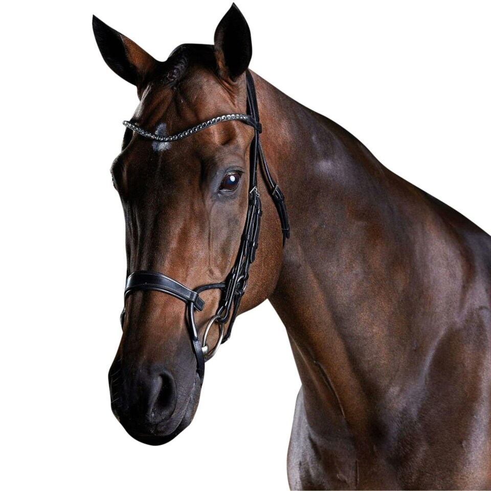 image 1 of Collegiate Comfitec Crystal Leather Bridle - Black - Full