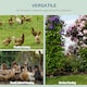 image 5 of PawHut 0.6Mx10M Chicken Wire Mesh Rabbit Poultry Animal Fence PVC Coated Netting