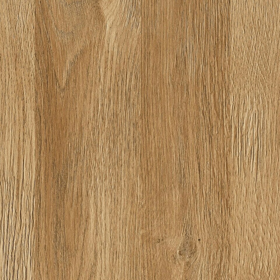 image 1 of Cortina 2 Door Cabinet in Grandson Oak