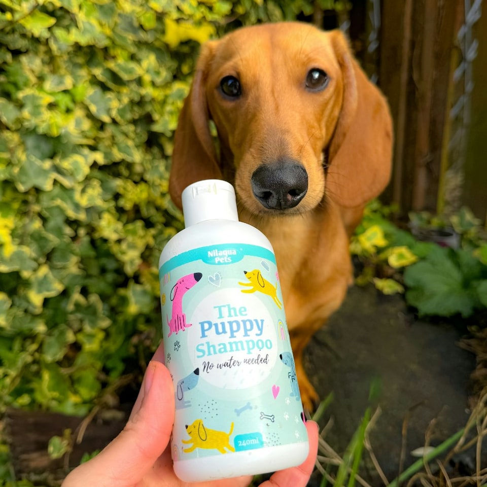 image 1 of The Puppy Shampoo 500ml - Soft and Kind Allergen Free No Rinse Puppy Soft