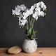 image 3 of Orchid in Stone Pot Artificial Flower - Plastic - L46 x W46 x H70 cm - White