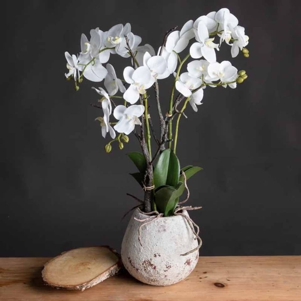 image 1 of Orchid in Stone Pot Artificial Flower - Plastic - L46 x W46 x H70 cm - White