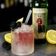 image 3 of Cremorne 1859 Colonel Fox Gin