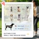 image 7 of PawHut One-click Foldable Pet Stroller w/ Mesh Windows, for Small Pets - Grey