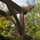 image 5 of Premium Pergola - Wood - L420 x W420 x H270 cm - Rustic Brown