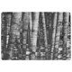 image 1 of Black and white bamboo (Rug) Grey | Small: 60x110cm