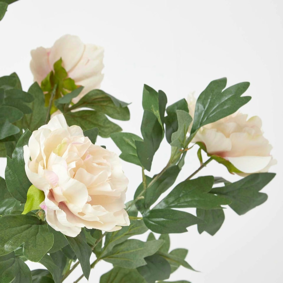 image 1 of Homescapes Peach Artificial Peony Tree in Black Pot, 100 cm Tall