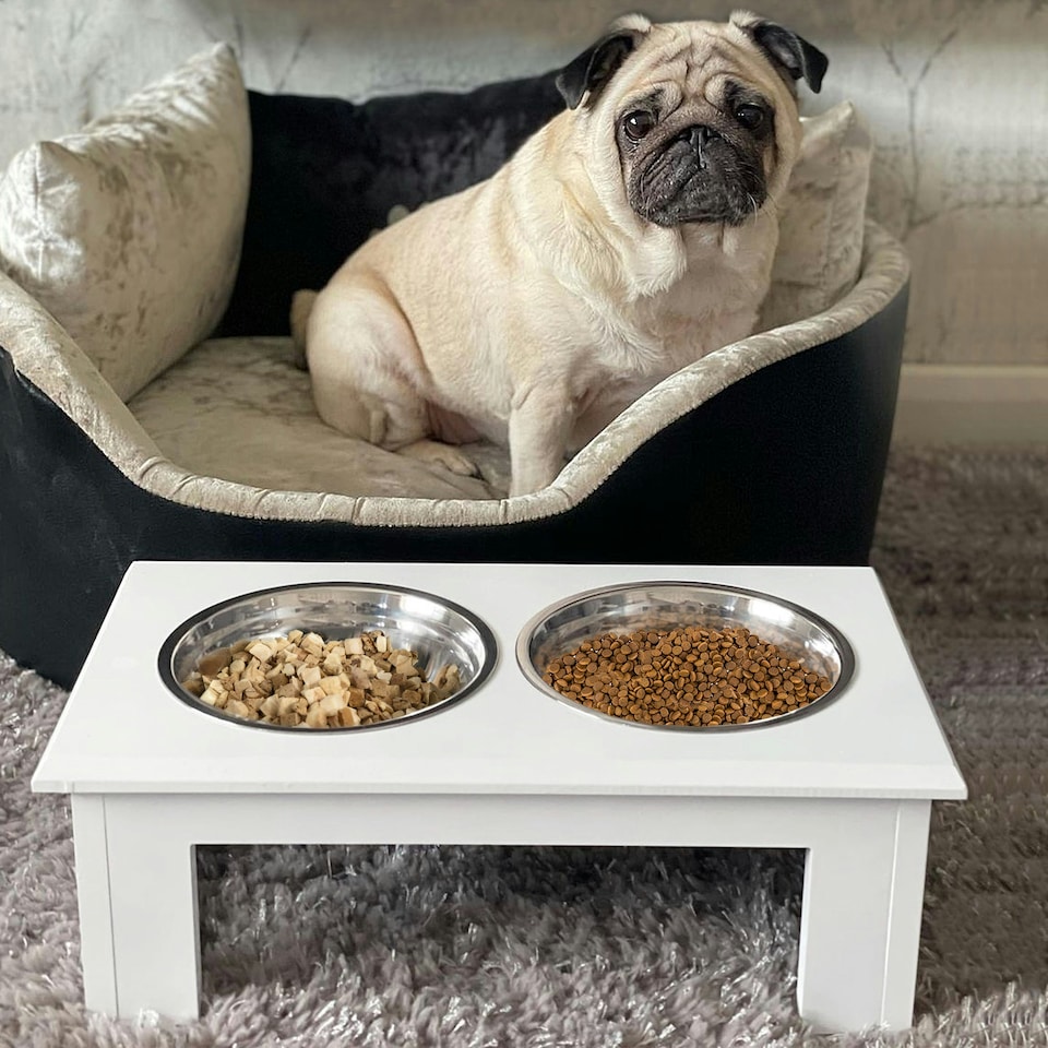 image 1 of PawHut Raised Dog Bowls Pet Feeder Raised Elevated Stainless Steel Food White