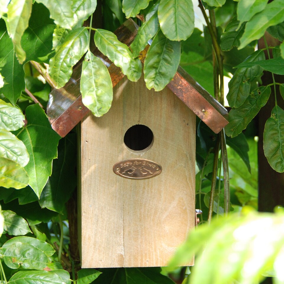 Fallen Fruit Wren Nest Box with Copper Roof | Brown | Brown