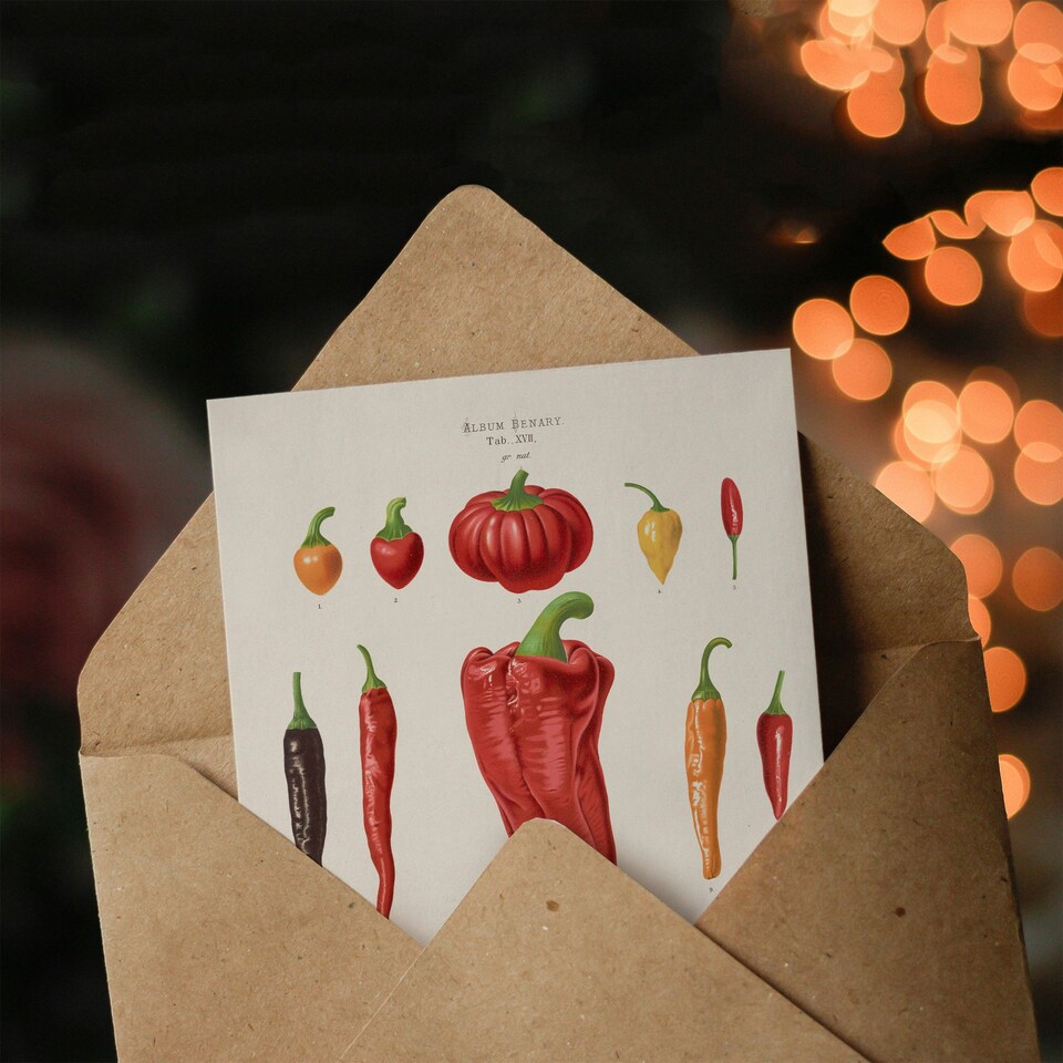 image 1 of Ernst Benary Art Card Capsicums and Chili Pepper Varieties