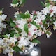 image 3 of English Blossom Branch Artificial Plant - Fabric/Plastic - L8 x W25 x H90 cm - Brown/Green/White