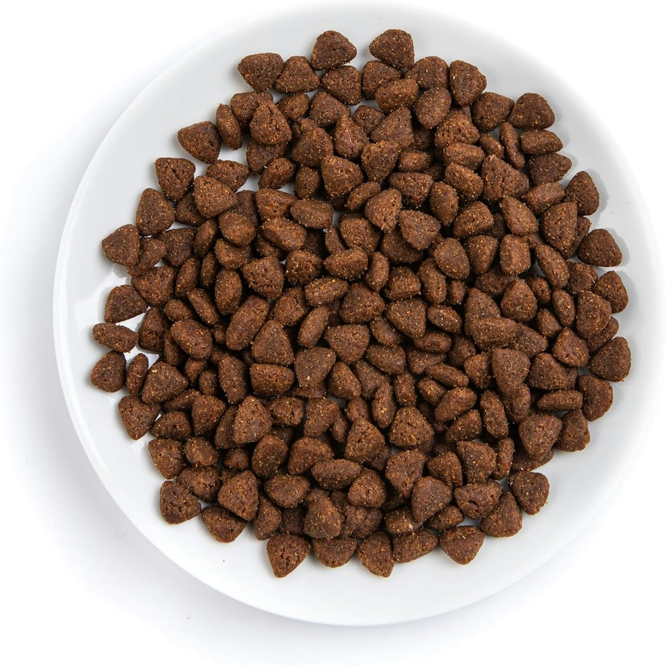 image 1 of thrive Cat PremiumPlus Dry Food- CHICKEN 1.5kg