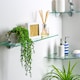 image 5 of Harbour Housewares Rounded Floating Glass Shelf - 60cm - Metallic Brackets - Bathroom Shower Storage Vanity Display Unit Shelf | Silver | Chrome | 1