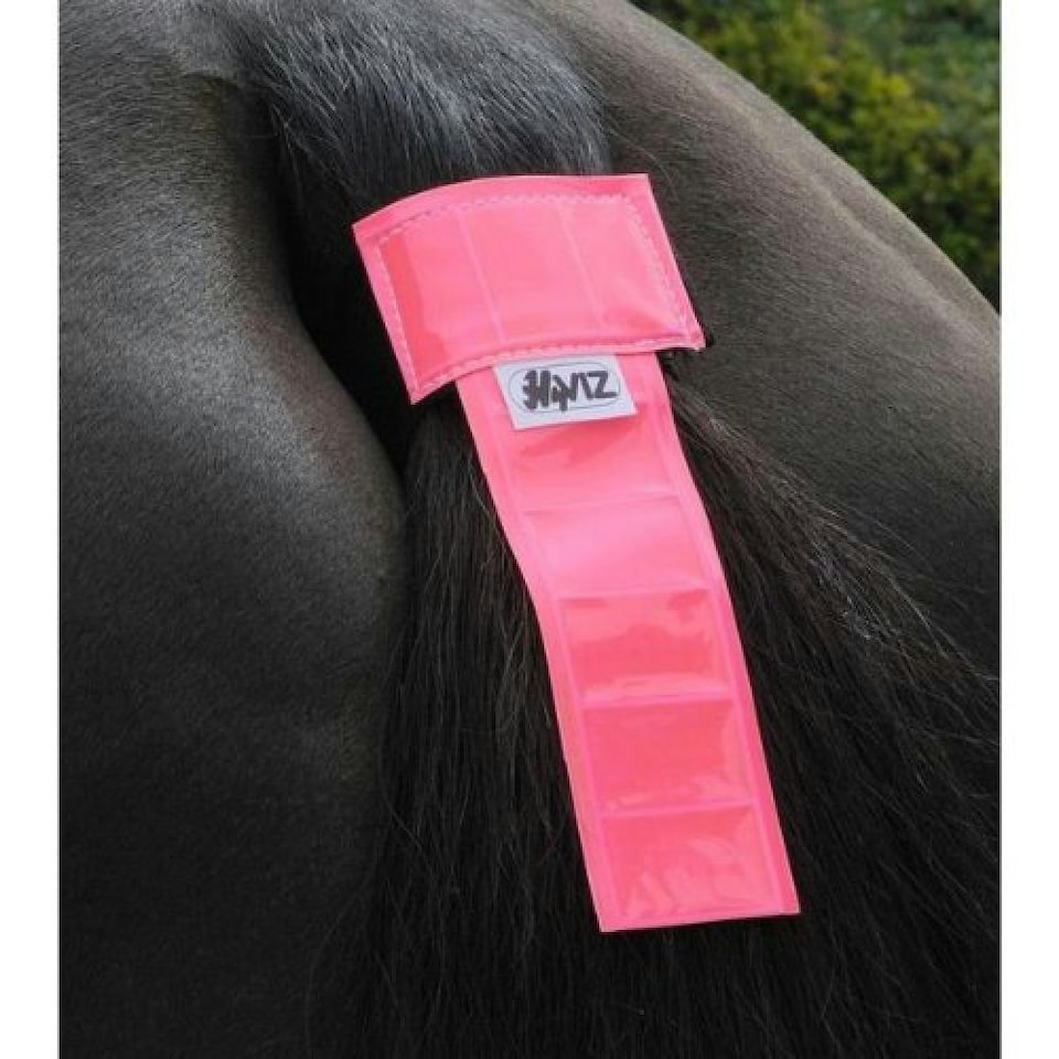 image 1 of HyVIZ Tail Band - Pink - One Size