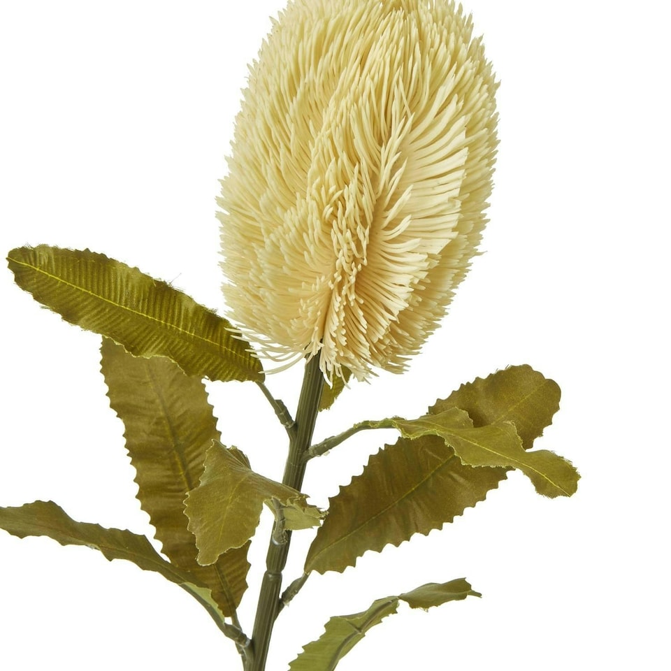 image 1 of Hill Interiors Banksia Serrata Artificial Flower - Cream - One Size