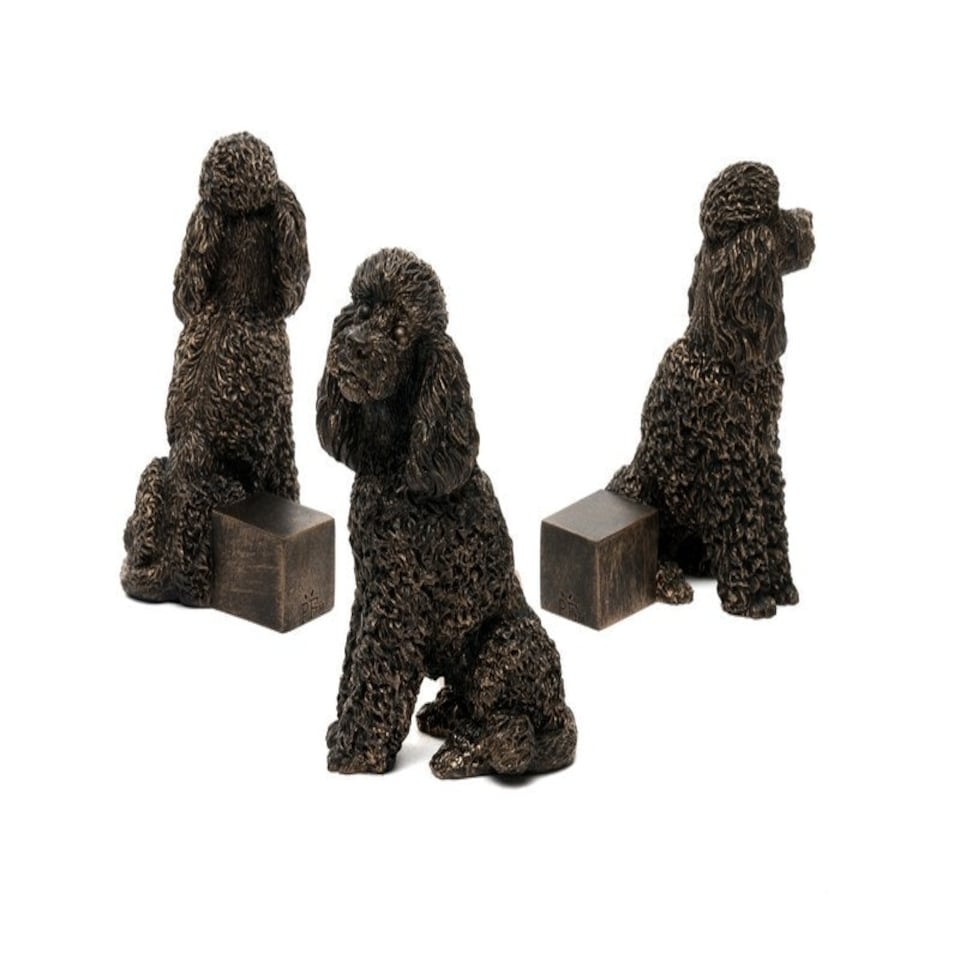 image 1 of Poodle Plant Pot Feet - Set of 3 - L8 x W4.5 x H9.5 cm | Brown