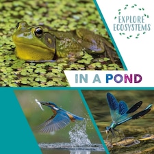 Explore Ecosystems: In A Pond