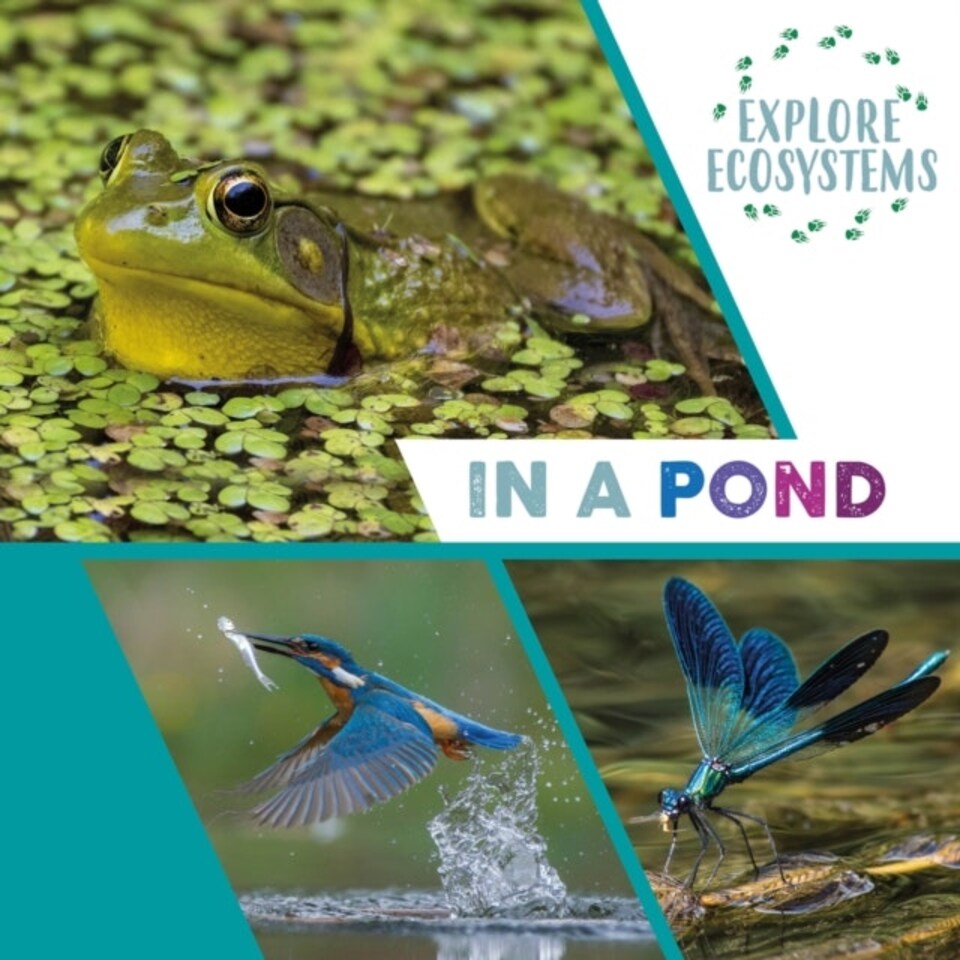 Explore Ecosystems: In A Pond