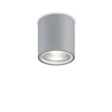 Gun 1 Light Round Surface Mounted Downlight Grey IP44