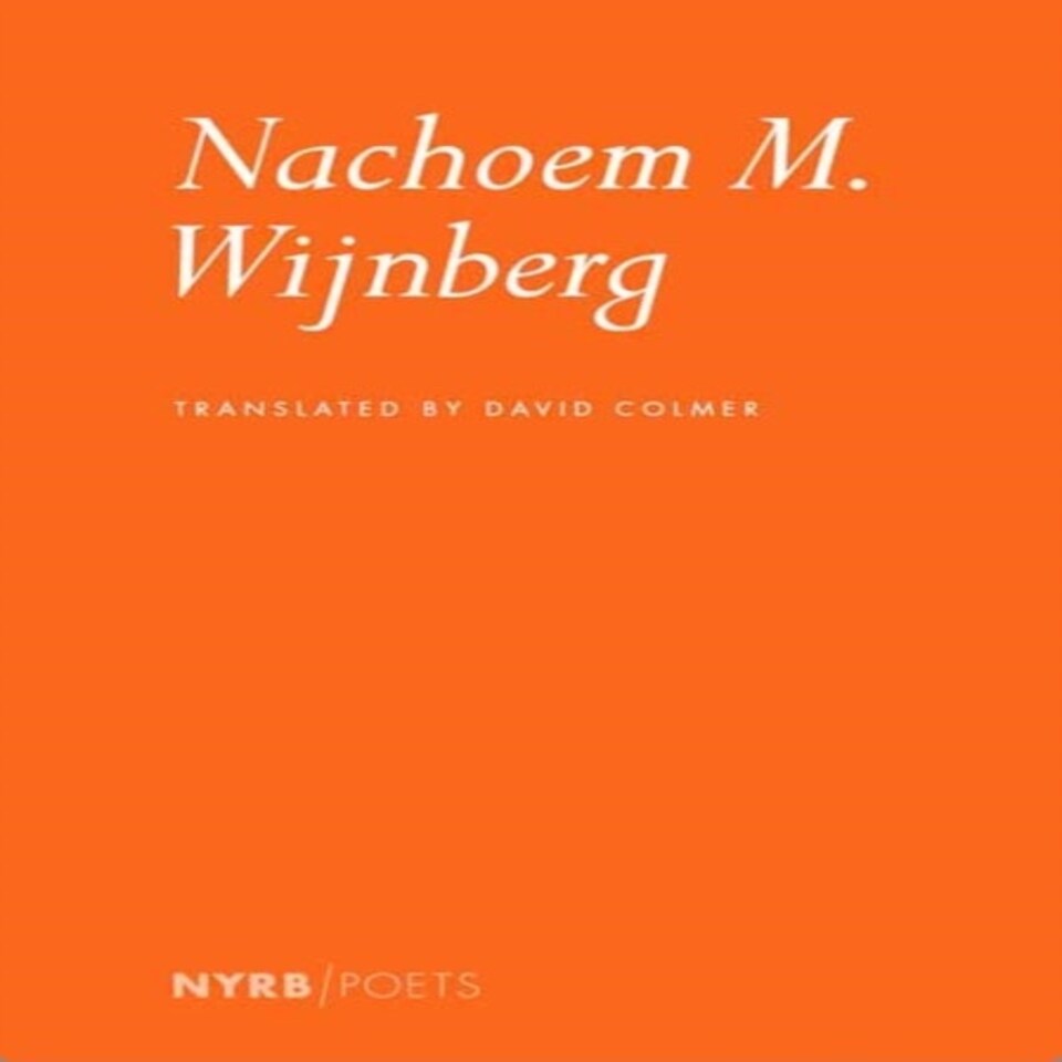 Nachoem M Wijnberg