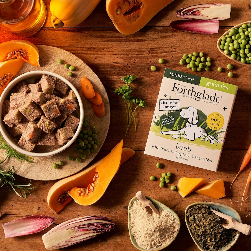 image 1 of Senior Lamb & Butternut Squash Wet Dog Food (18x395g)
