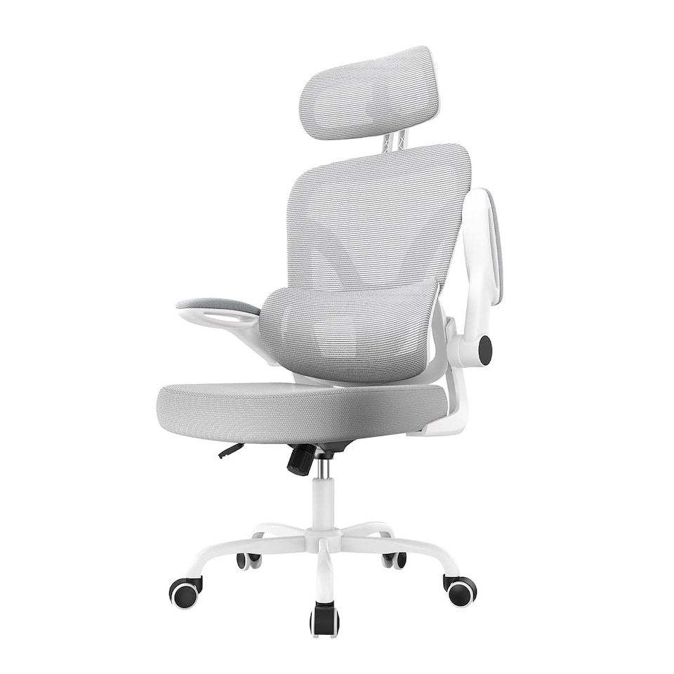 image 1 of Rattantree Ergonomic Office Chair Dual Backrest Mesh Computer Chair