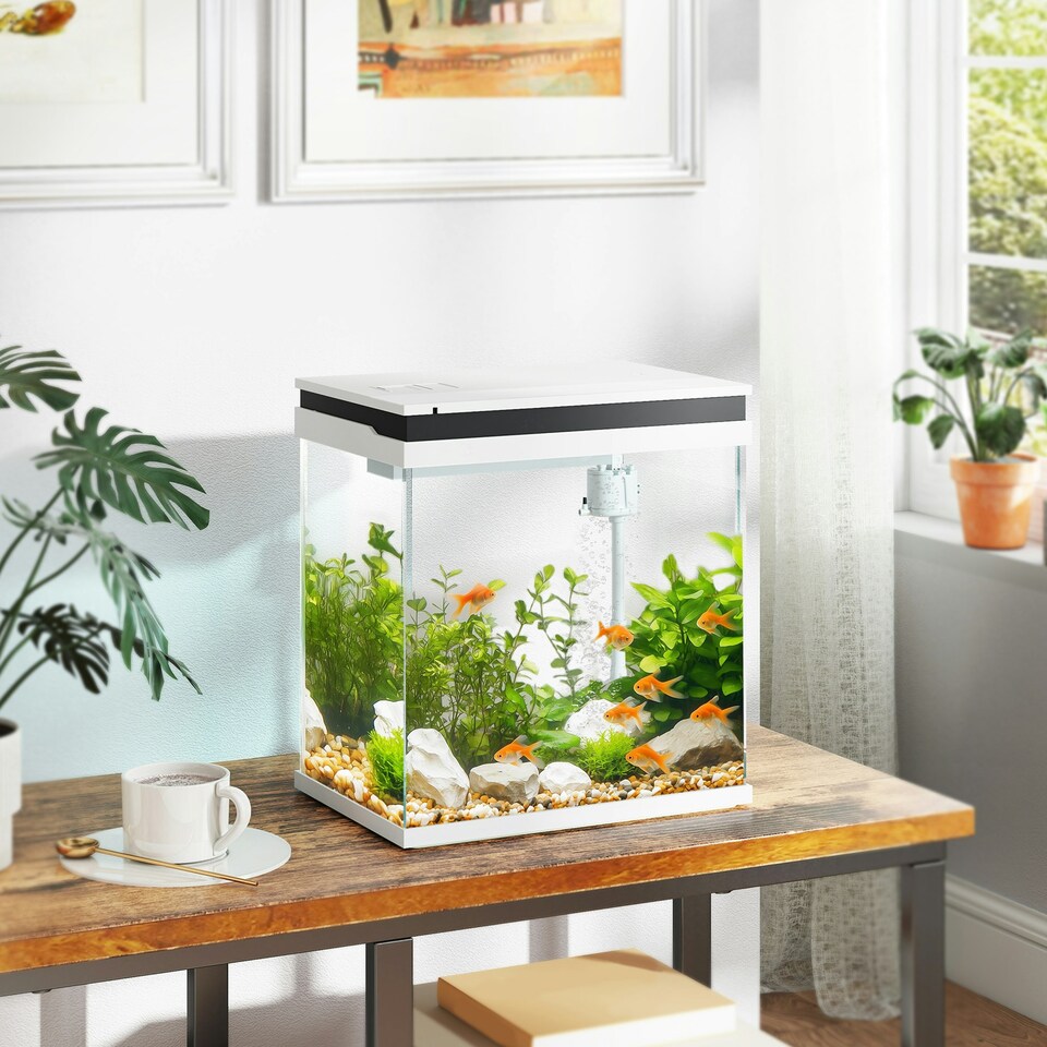 image 1 of PawHut 14L Small Fish Tank with Filter System, LED Lights, Water Pump, White