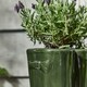 image 5 of Dark Green Wellington Boots Large Ceramic Indoor Outdoor Flower Pot Garden Planter Pot H29.5 x W24cm | Green | Dark Green