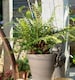 image 3 of Tortoise Plant Pot Hanger - L11 x W6 x H7.5 cm | Bronze