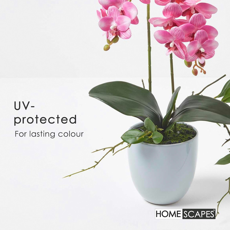 image 1 of Homescapes Pink Orchid 54 cm Phalaenopsis in Ceramic Pot