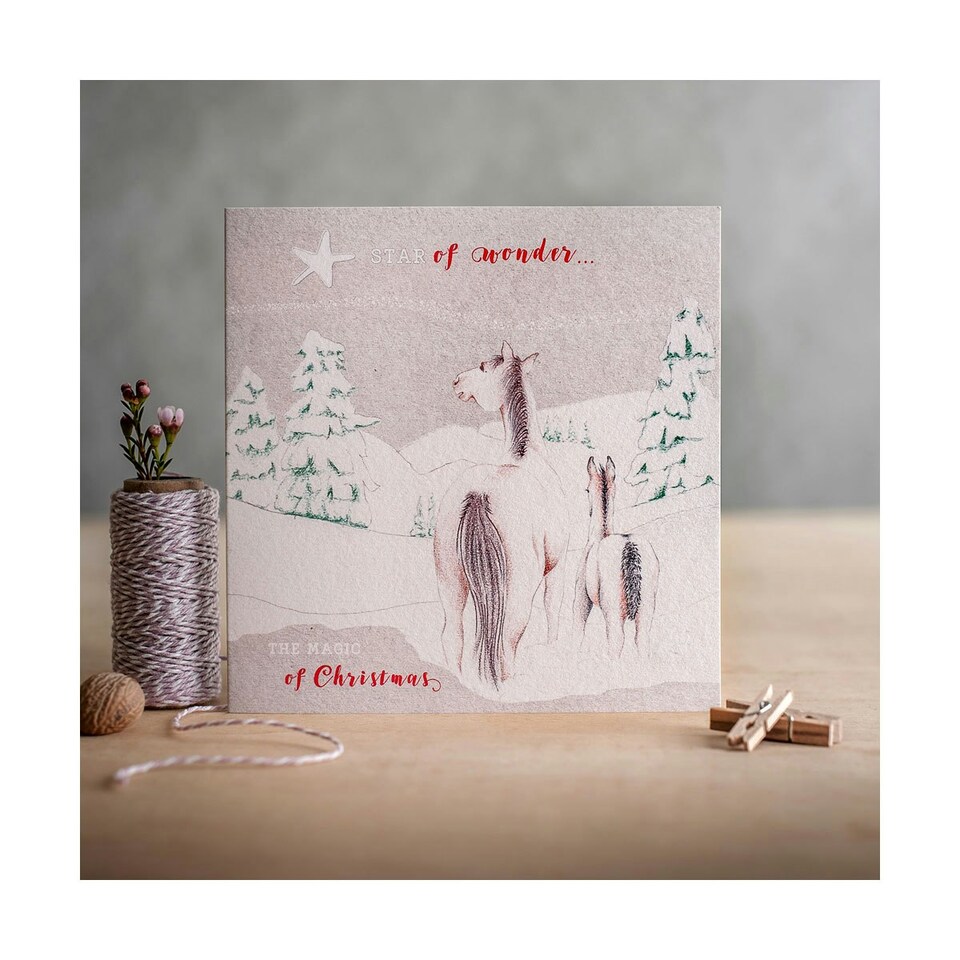 Deckled Edge Christmas Card - Star Of Wonder - Ponies and Star (Silver) - One Size