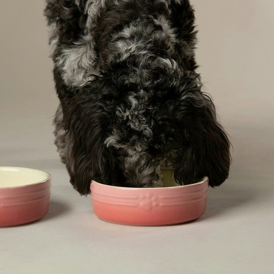 image 1 of Scruffs Ceramic Ombre Pet Food Bowl 15cm | Pink | 1