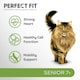 image 4 of 7kg Perfect Fit Advanced Nutrition Senior Complete Dry Cat Food Chicken Biscuits