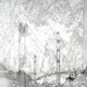 image 1 of San Fran (Canvas Print) 60" x 30"