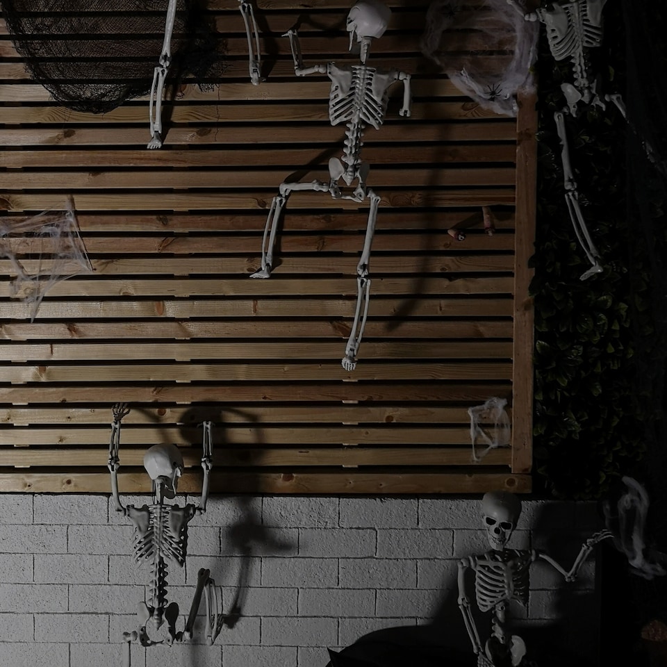 image 1 of 90cm (3ft) Posable Full Body Halloween Skeleton Decoration with Movable Joints