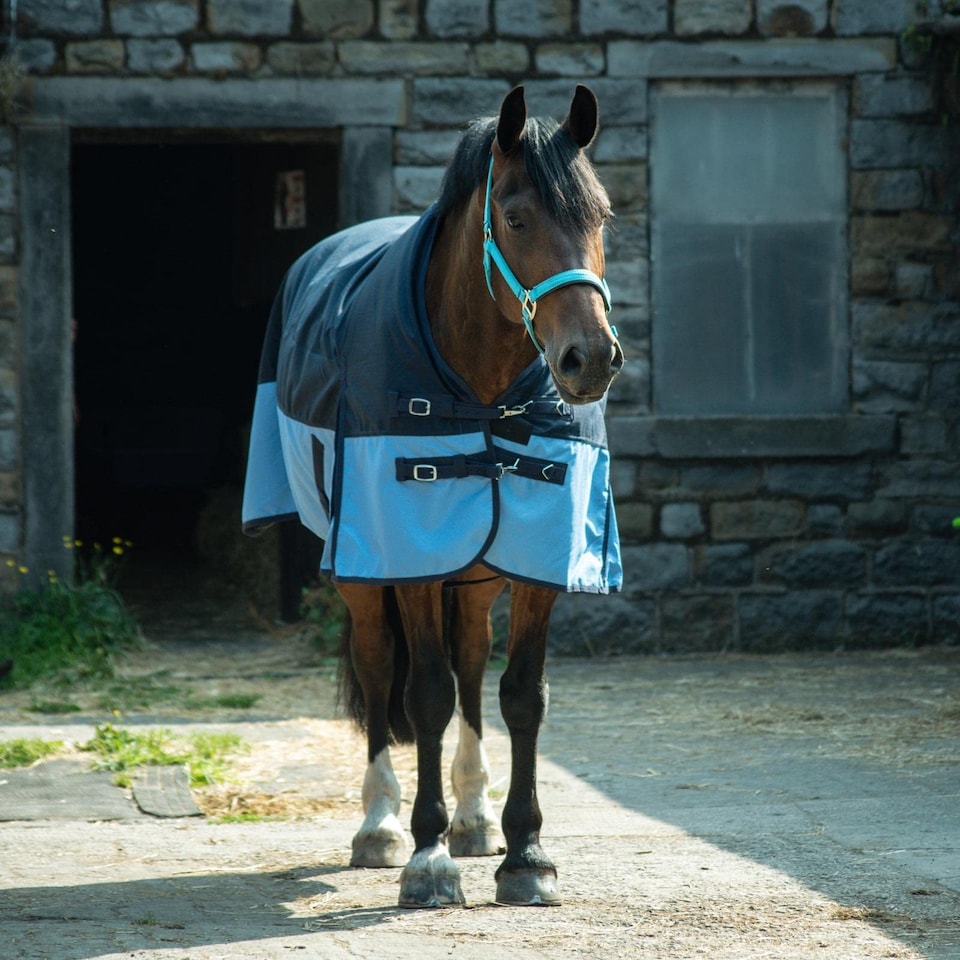 image 1 of eQuitack 600D Waterproof Horse Turnout Rug 0g No Fill Half Neck Navy/Baby Blue 5'6''