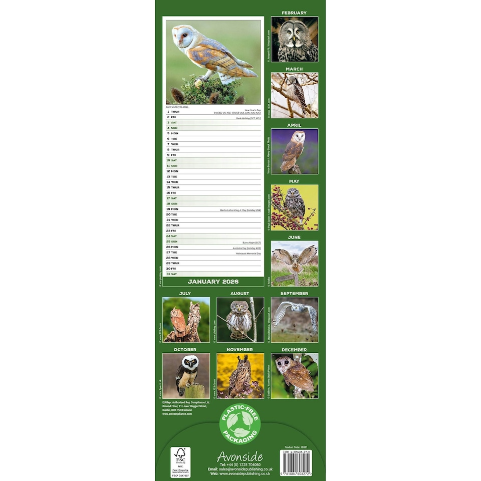 image 1 of Owls Slim 2026 Calendar | Slimline Wall Calendar | Bird Gift | Plastic Free Packaging | by Avonside Publishing [Calendar] Avonside Publishing Ltd