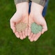image 3 of Westland PureGreen Lawn Seed
