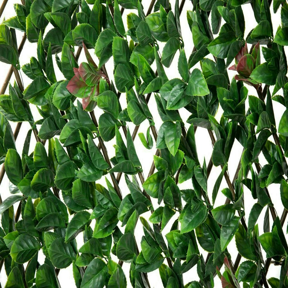 image 1 of Primrose Extendable Artificial Flower Outdoor Screening Trellis Black 1m x 2m