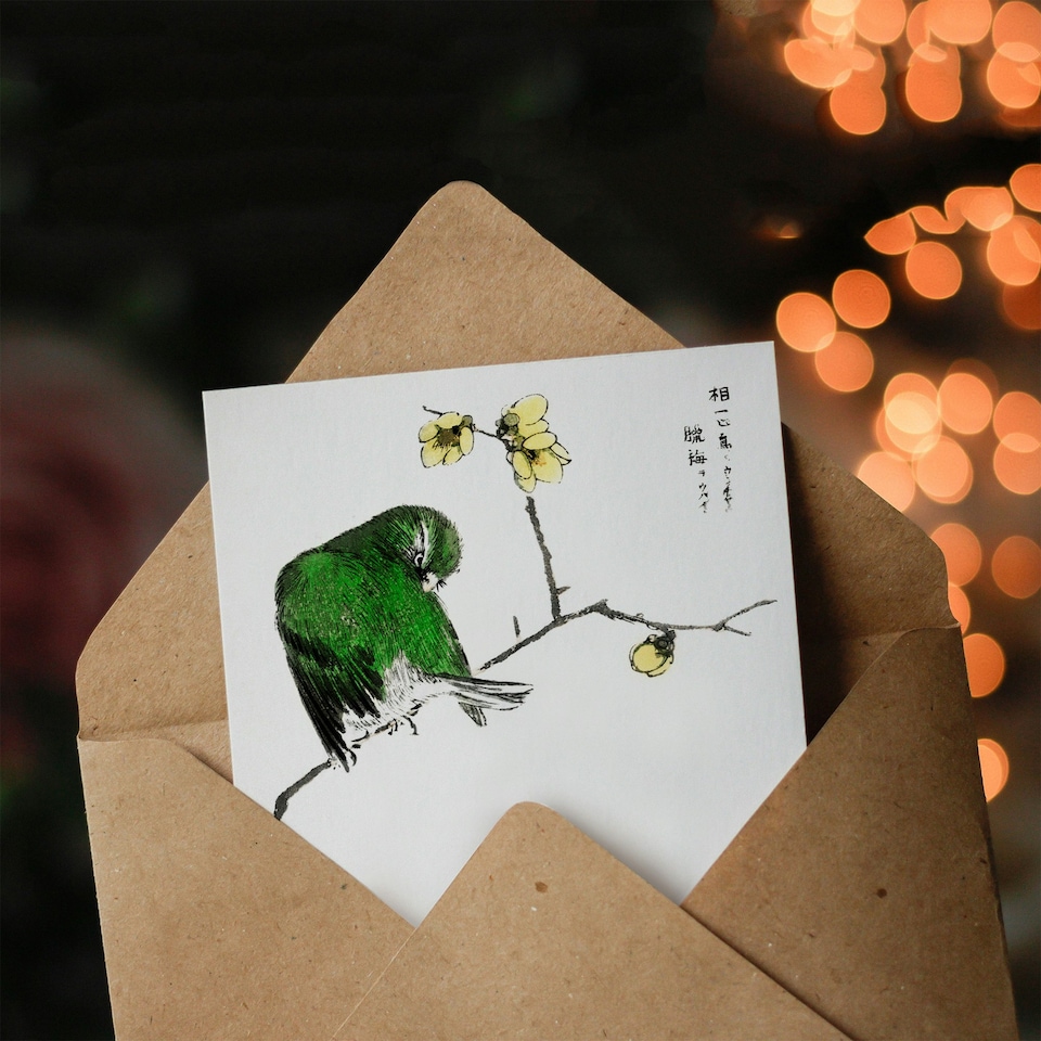 image 1 of Numata Kashu Art Card Fairy Pitta and Japanese Allspice