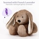 image 4 of Warmies Plush Brown Bunny Microwavable Heat Pad, Weighted Cuddly Plushie for Soothing Relief, Lightly Scented with French Lavender - Large