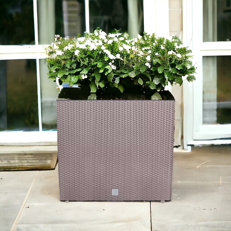 image 1 of Rato Case Tall Rattan Rectangle Flower Pot | Brown | 1