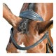 image 3 of Collegiate Comfitec Leather Horse Bridle | Black | Black | Warmblood | 1