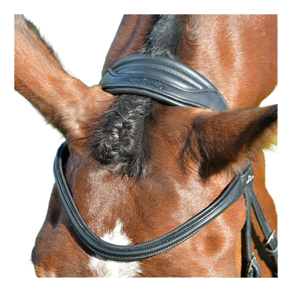 image 1 of Collegiate Comfitec Leather Horse Bridle | Black | Black | Warmblood | 1