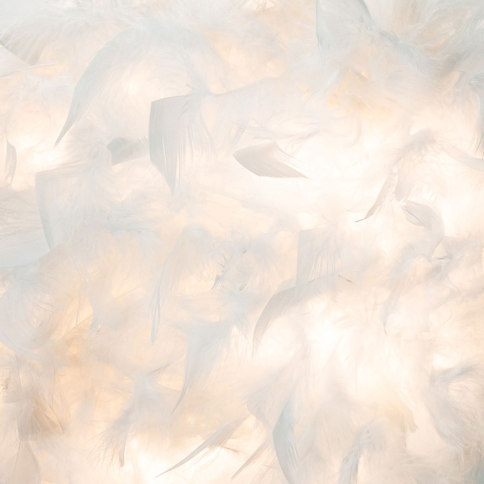 image 1 of Eye-Catching and Designer Small White Feather Decorated Pendant Lighting Shade | White | White | 1