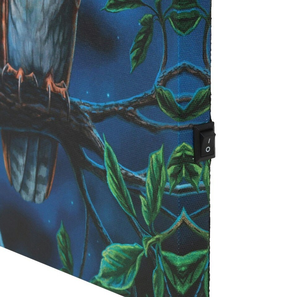 image 1 of Fairy Tail Light Up Canvas