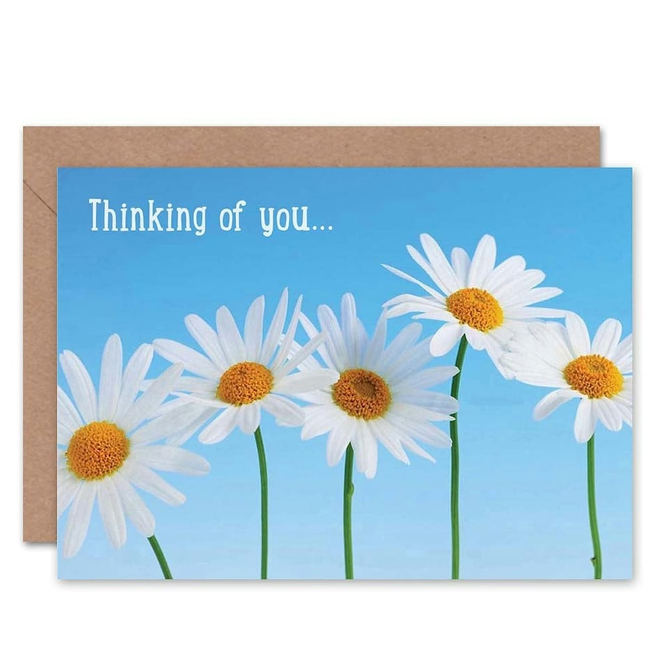 image 1 of Thinking You Daisy Flower Nature Thinking Of You Card