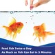 image 3 of Aquarian Goldfish Pellets 28g (2-Pack) Aquarium Fish Food Pond Feeding