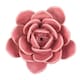 image 1 of Something Different Pond Dipping Water Lily Incense Stick Holder - Pink - One Size